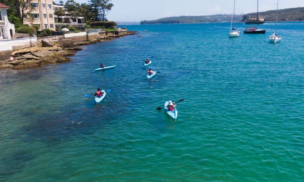 Manly Guided Clearview Kayak Tour with Snacks and Drinks