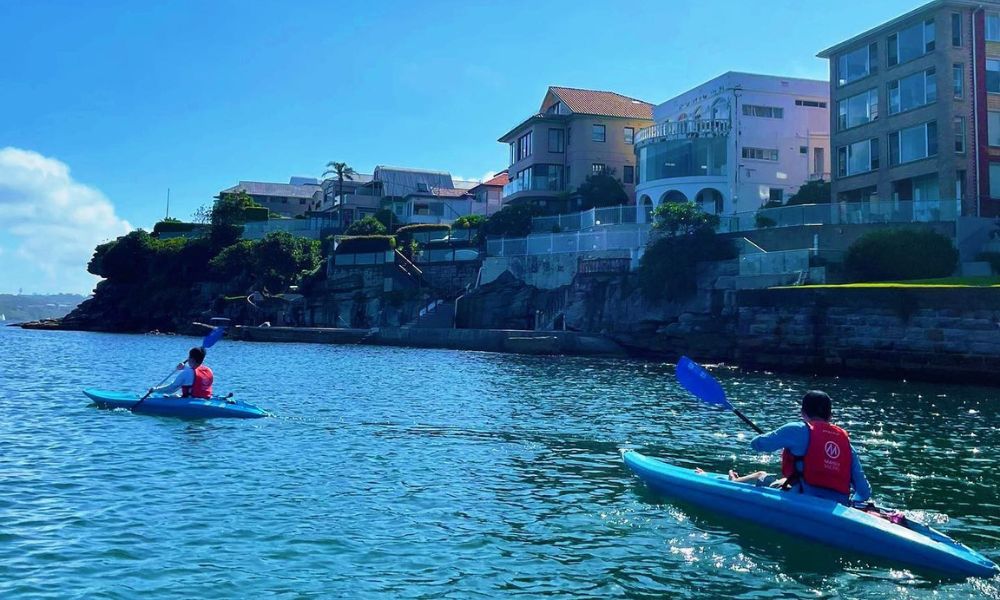 Manly Guided Clearview Kayak Tour with Snacks and Drinks