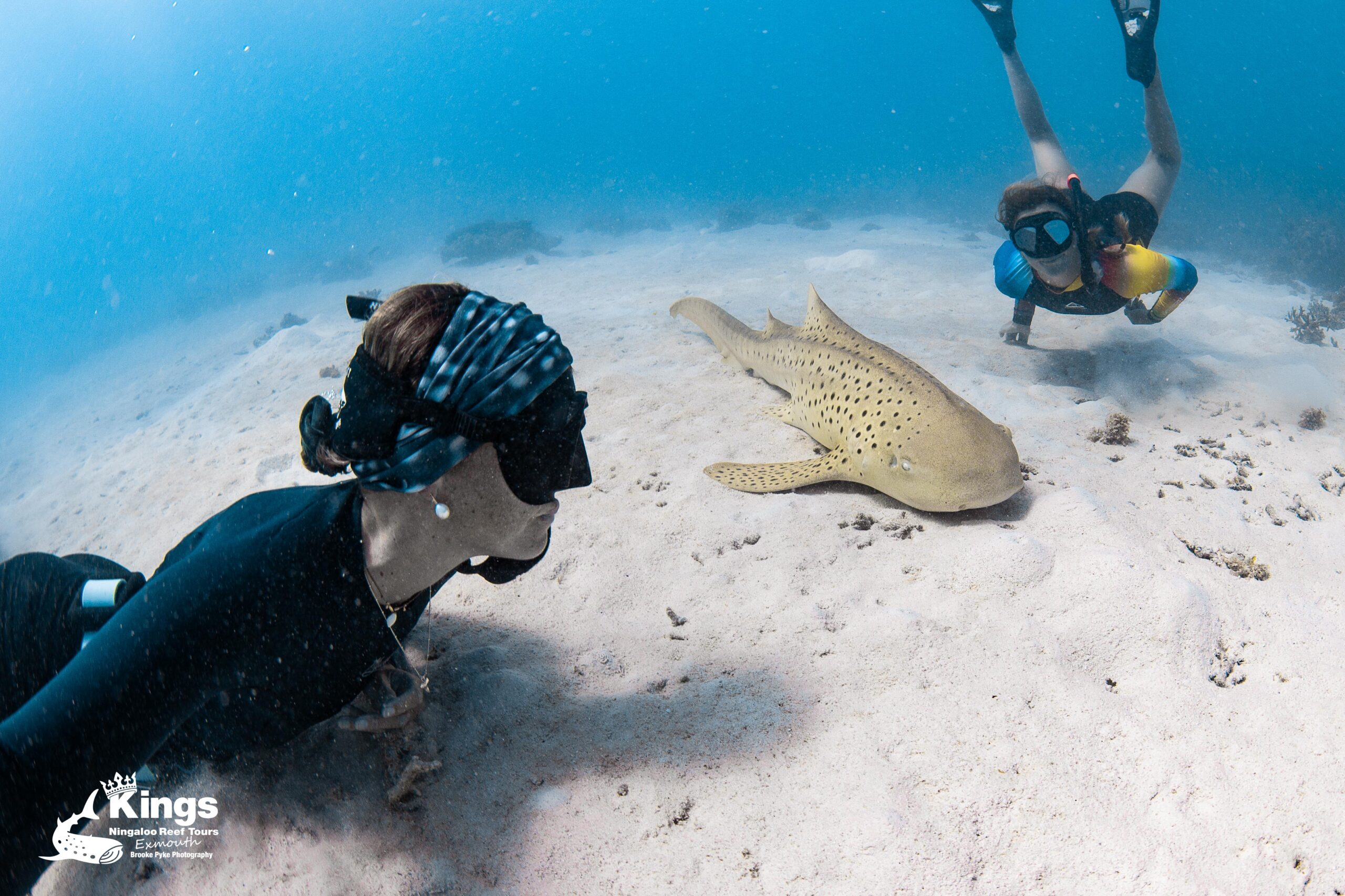 BOOKEASY 2025 Whale Shark Snorkelling Adventure Tour (APR-JUL)