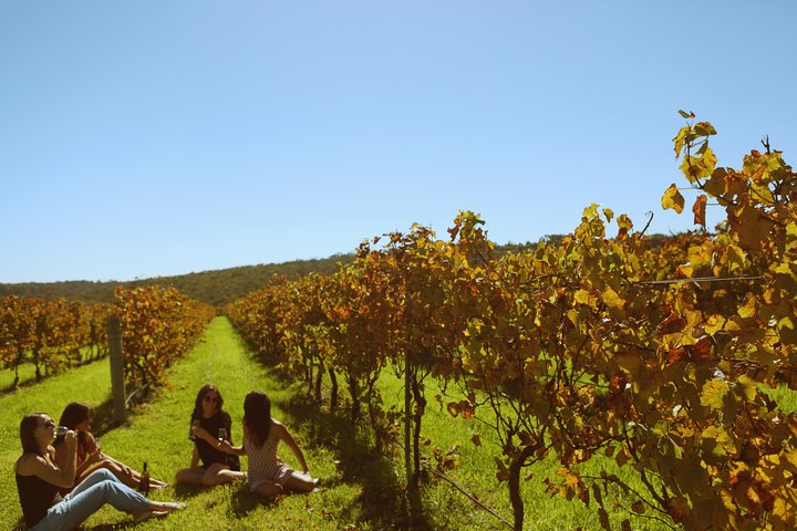 Margaret River Kayaking and Winery Tour