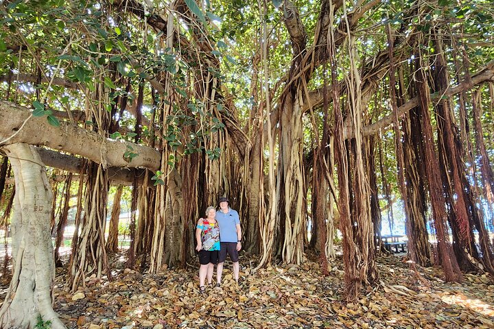 Full-Day Tour in Bowen Beach