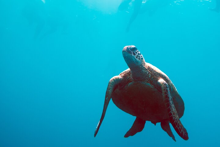 3 Day & 2 Night Whitsunday Islands Maxi Sailing Adventure on Broomstick