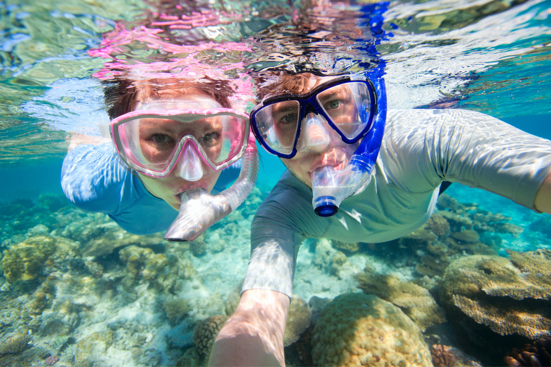 Snorkel Safari Guided Tour