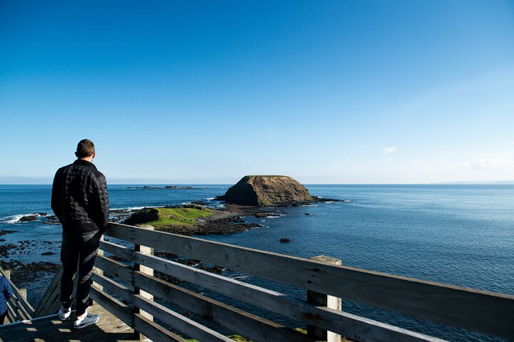 Phillip Island (Penguin Parade and the Nobbies Centre) 1-Day Tour