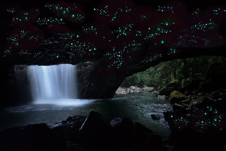 Natural Bridge Glow Worm Cave & World Heritage Eco Tour