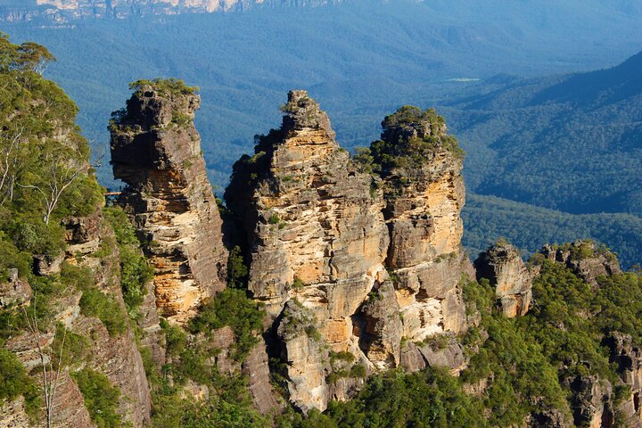 Private Tour Blue Mountains Day Adventure Wildlife + River Cruise