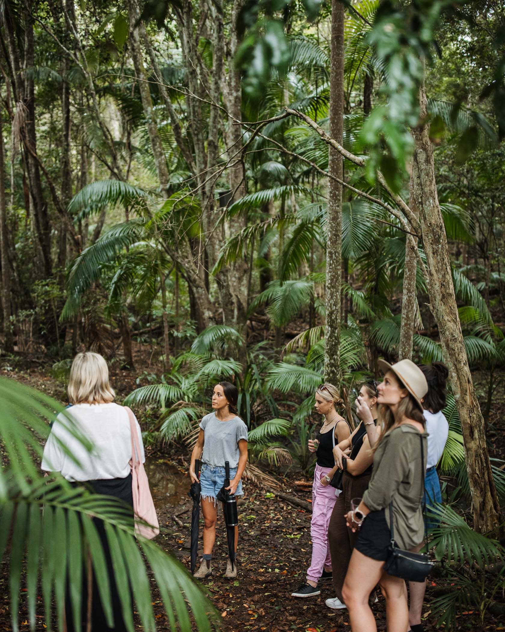 Byron Hinterland Paddock to Plate (Public Tour)