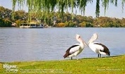 Paddle Boat Lunch Cruise & Hahndorf/Adelaide Hills Tour