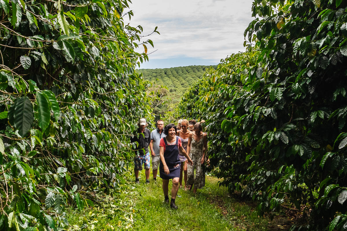 Byron Hinterland Paddock to Plate (Public Tour)