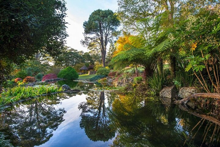 Blue Mountains Private Tour with Autumn Colors