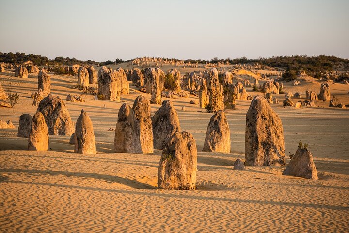 4-Day Monkey Mia Coastal Loop Guided Tour from Perth