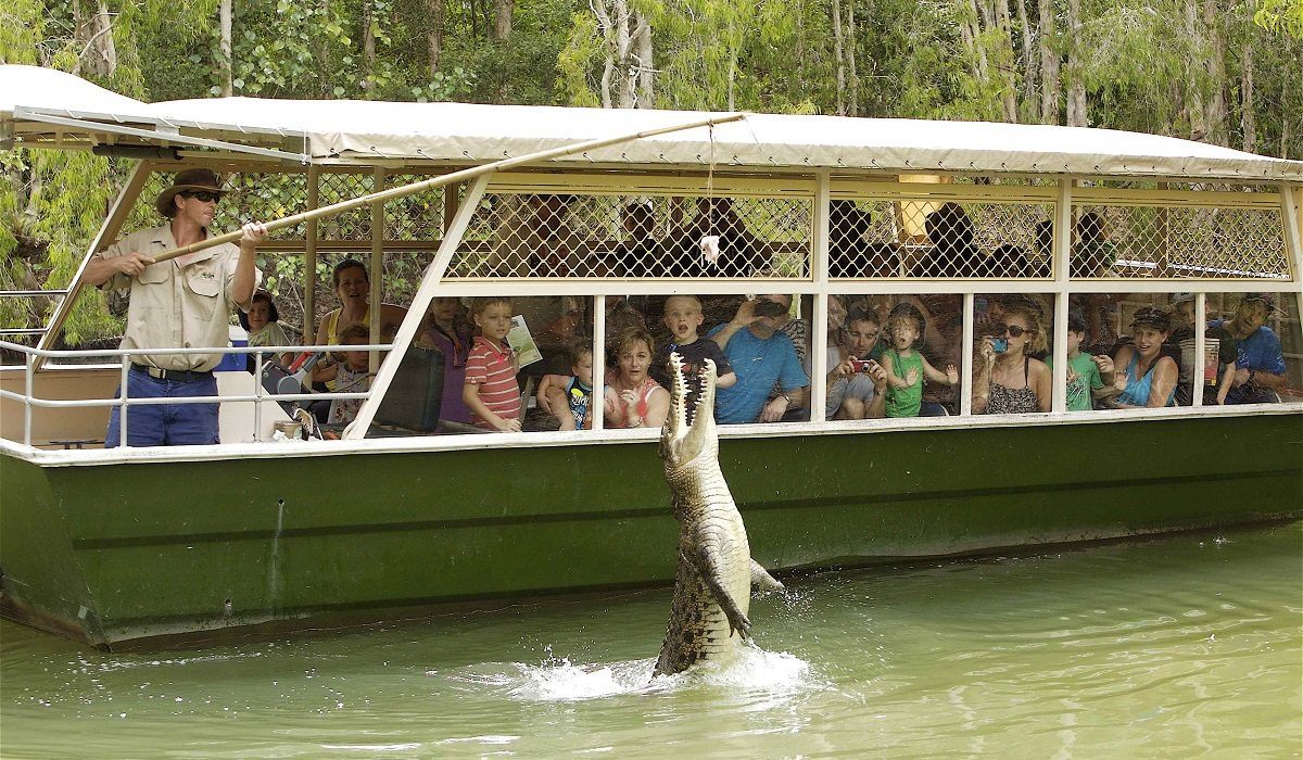 Hartley’s Crocodile Adventures (ex Cairns) Transfers Only