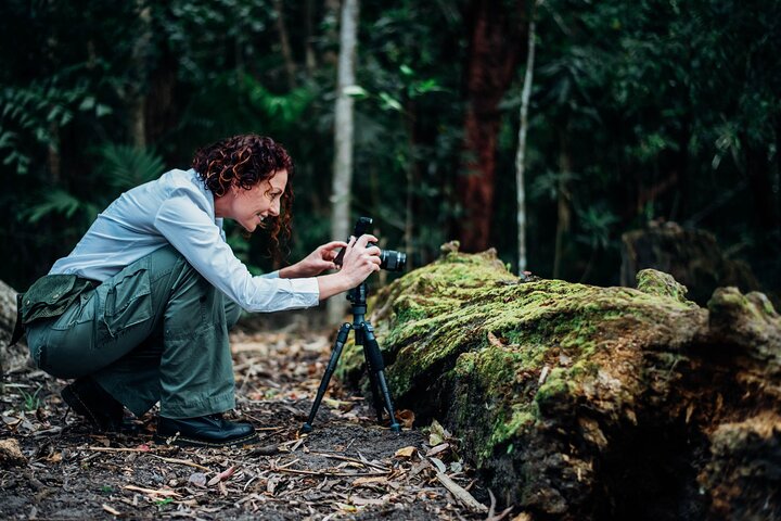2-Hour Mushroom Photography Activity in Cairns Botanic Gardens