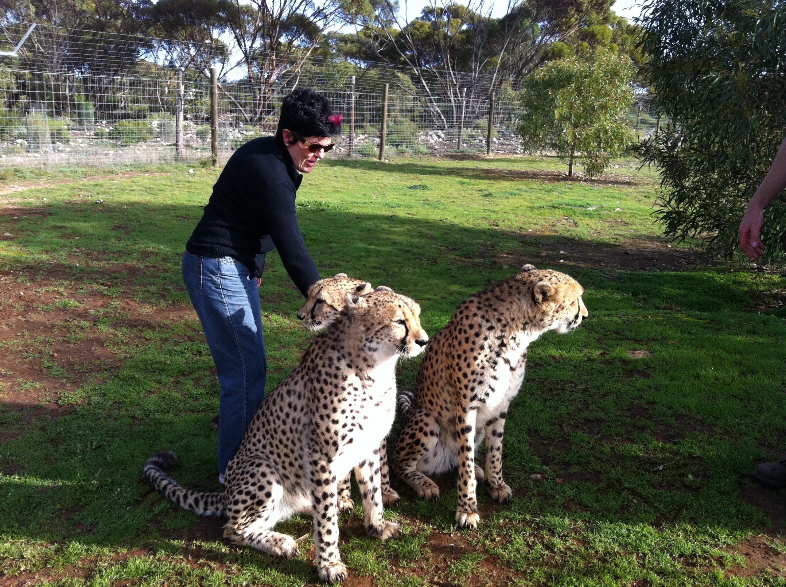 Monarto Zoo & Adelaide Hills/Hahndorf Tour