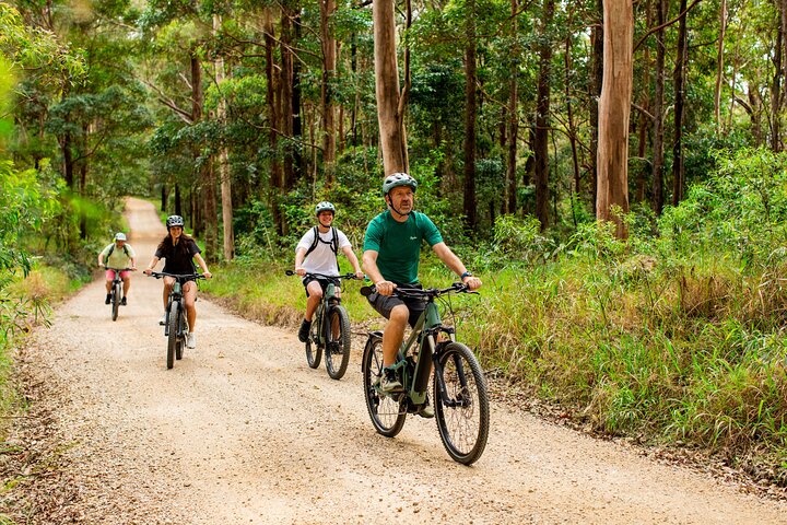 Self Guided E Bike Tour Unicorn Falls and Rainforest