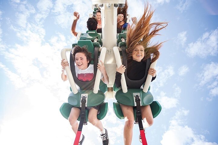 Movie World To Brisbane Hotel One Way Transfer