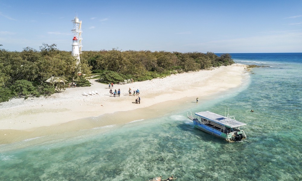 Lady Elliot Island Day Trip from Bundaberg including Flights