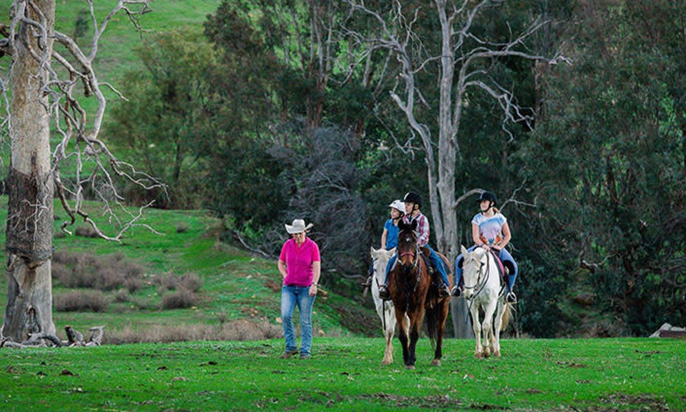 Weekend Kids Private Horse Riding Lesson - 60 Minutes