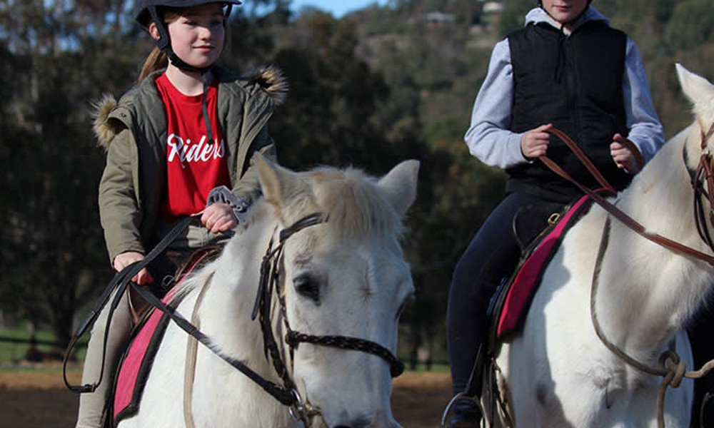 Weekend Kids Private Horse Riding Lesson - 60 Minutes