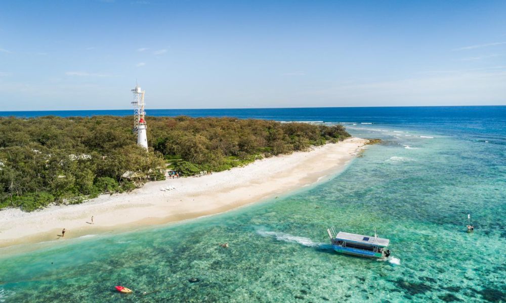 Lady Elliot Island Day Trip from Hervey Bay including Flights