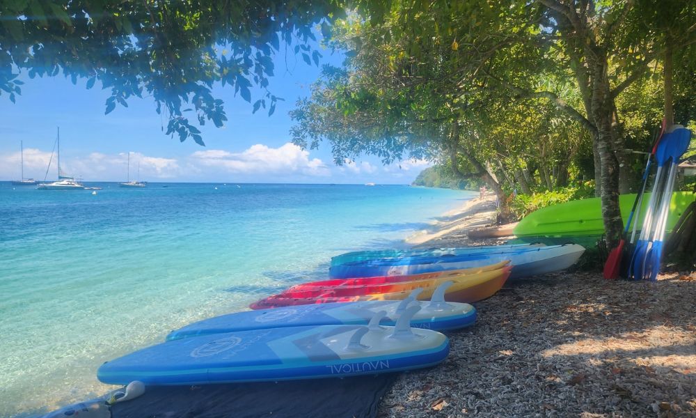 Fitzroy Island Stand Up Paddle Board and Kayak Tour