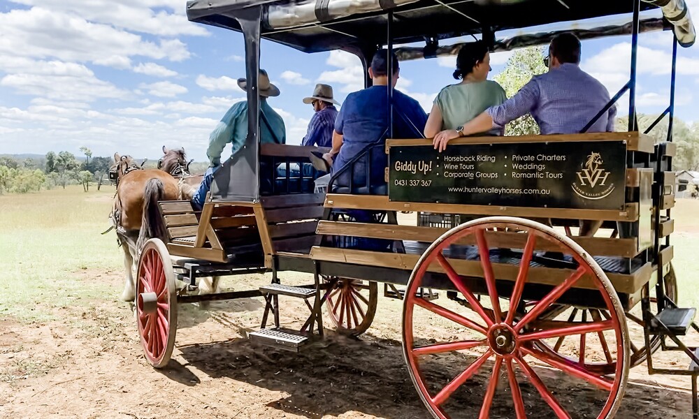 Hunter Valley Horse and Carriage Wine Tasting Tour