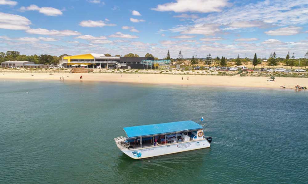 Dolphin Discovery Eco Cruise – 90 Minutes