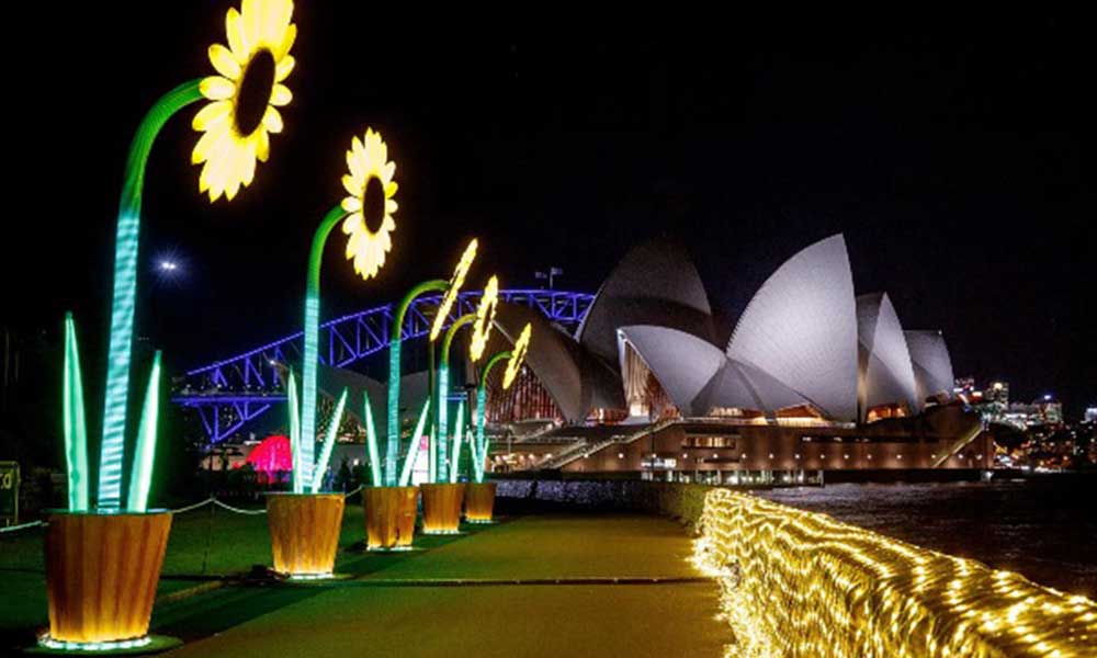 Vivid Sydney Harbour Cruise - 90 Minutes