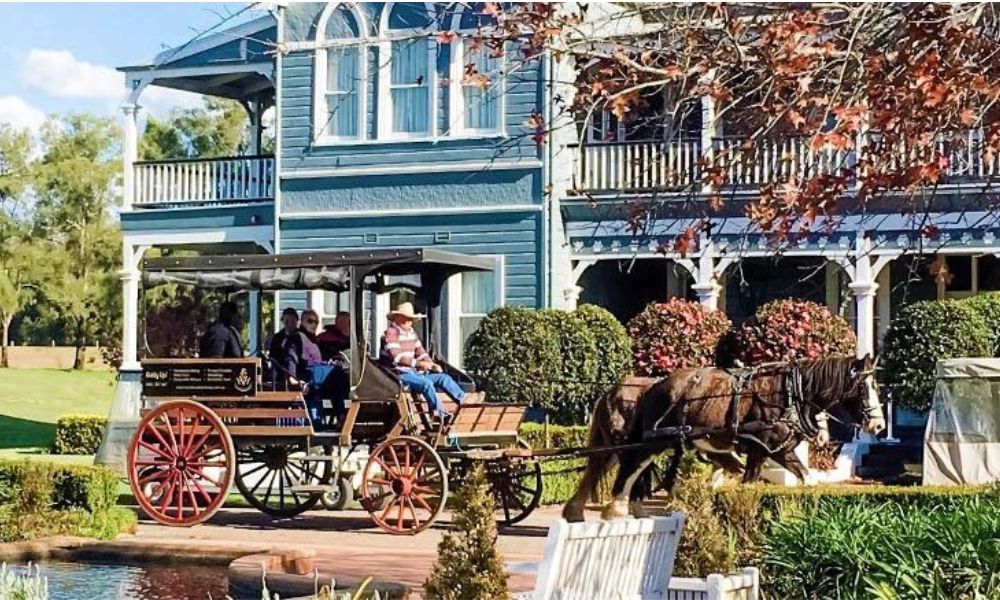 Hunter Valley Horse and Carriage Wine Tasting Tour