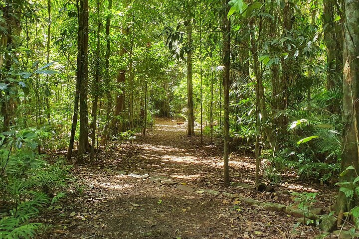 Cairns Tablelands and Waterfall Circuit