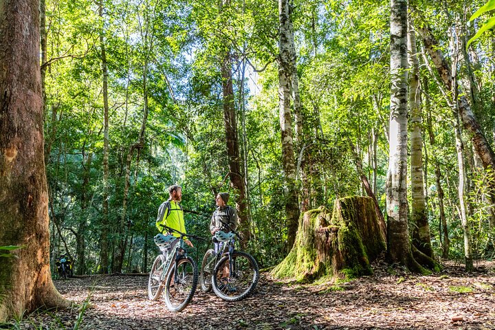 Self Guided E Bike Tour Unicorn Falls and Rainforest