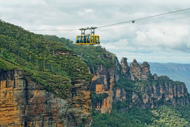 Private Day Tour to Featherdale Zoo and Blue Mountains Adventure