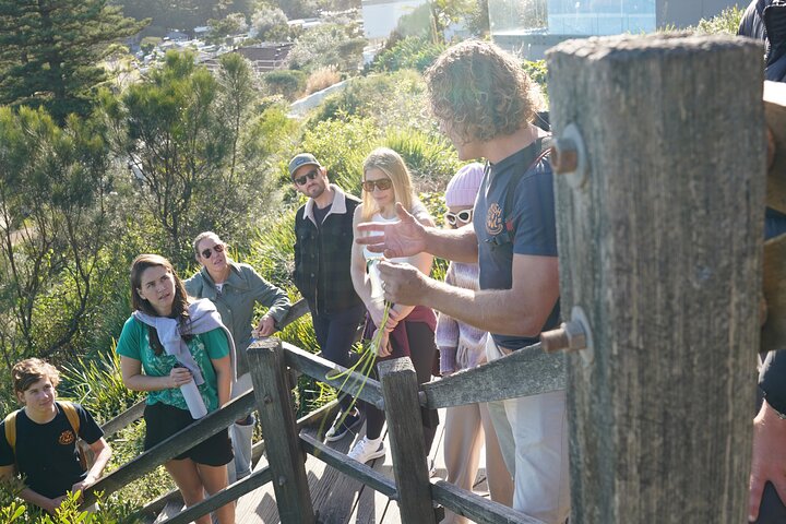 Northern Beaches Surf and Indigenous Guided Tour