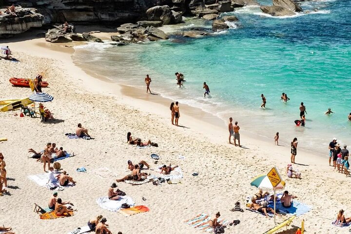 Watsons Bay Walking Tour and Surf Lesson at Bondi Beach