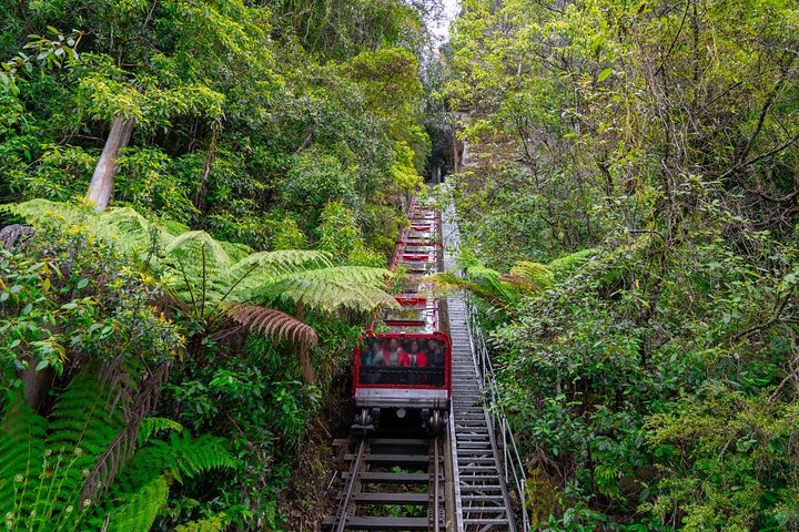 PRIVATE Featherdale Zoo Blue Mountains Scenic World in Luxury Car