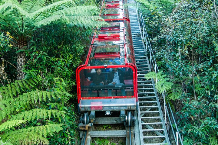 Private Day Tour to Featherdale Zoo and Blue Mountains Adventure