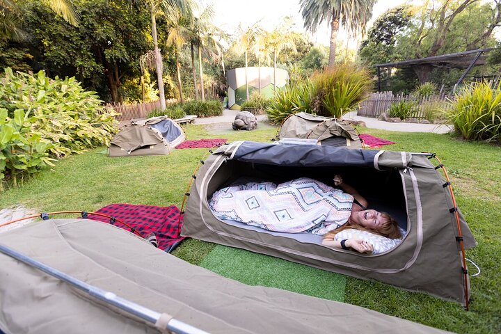 Swags and Snags at Melbourne Zoo