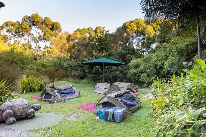 Swags and Snags at Melbourne Zoo