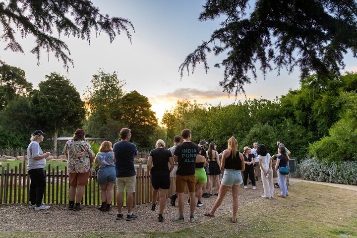 Swags and Snags at Melbourne Zoo