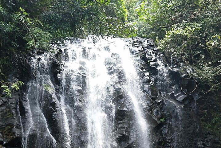 Cairns Tablelands and Waterfall Circuit