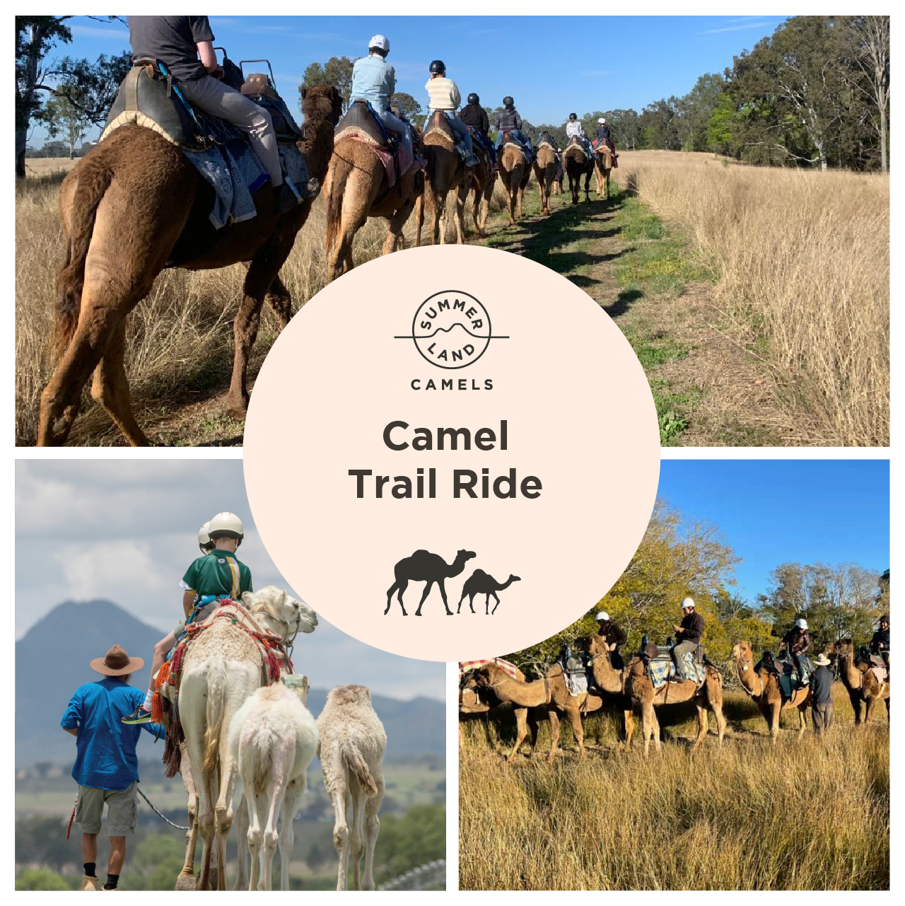 Camel Trail Ride