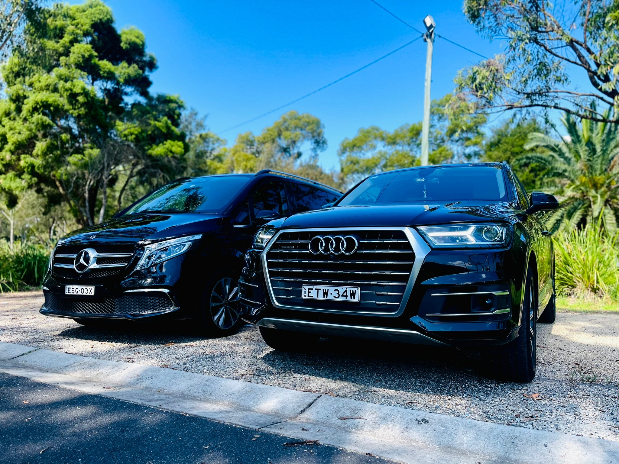 Executive Arrival Transfer: Sydney Airport to Hotel or Cruise Port