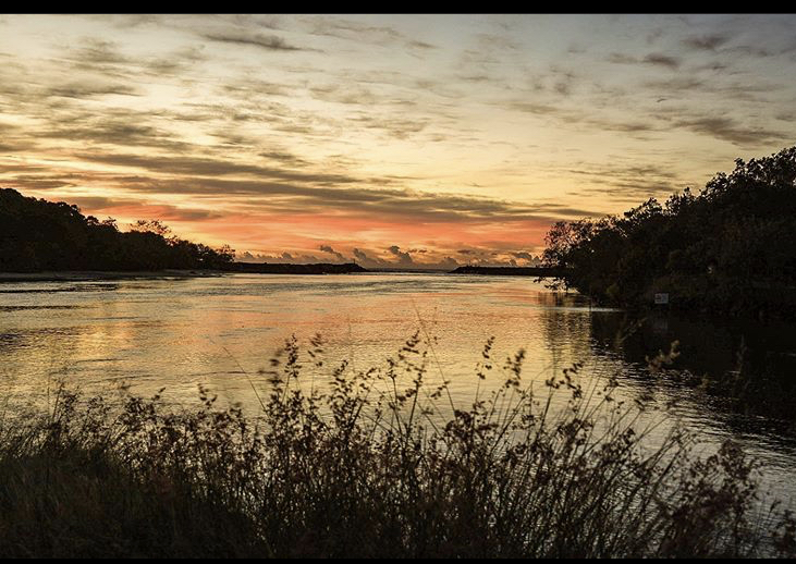 Sunrise Brunswick River Nature Kayak Tour