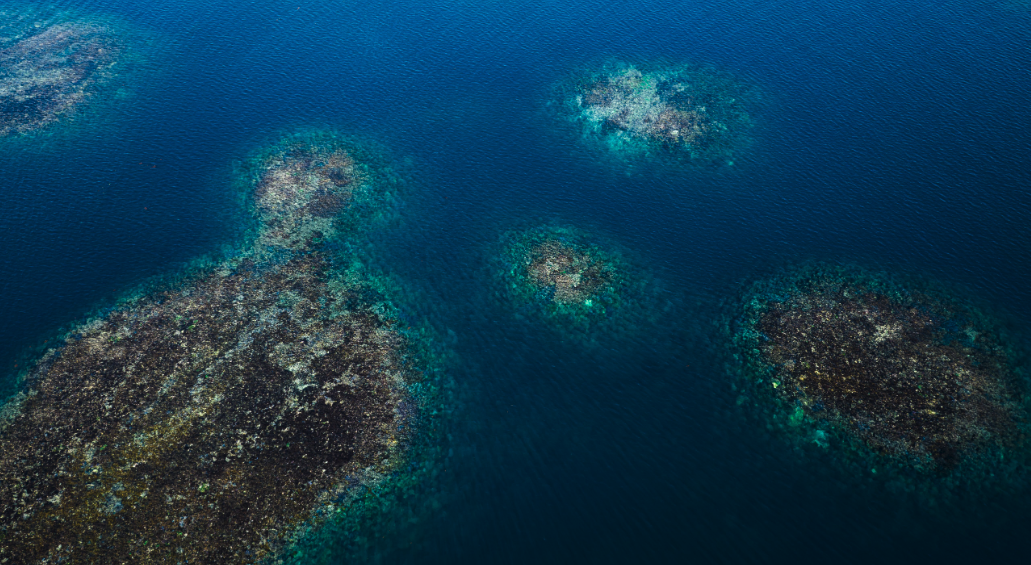 Abrolhos Islands Scenic Flyover