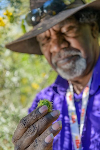 Bush Tucker Experience