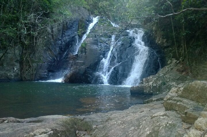 Cairns Tablelands and Waterfall Circuit