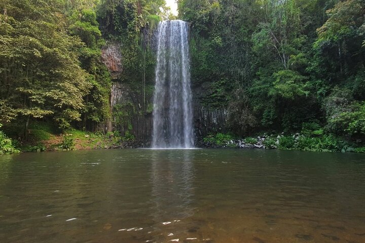 Cairns Tablelands and Waterfall Circuit