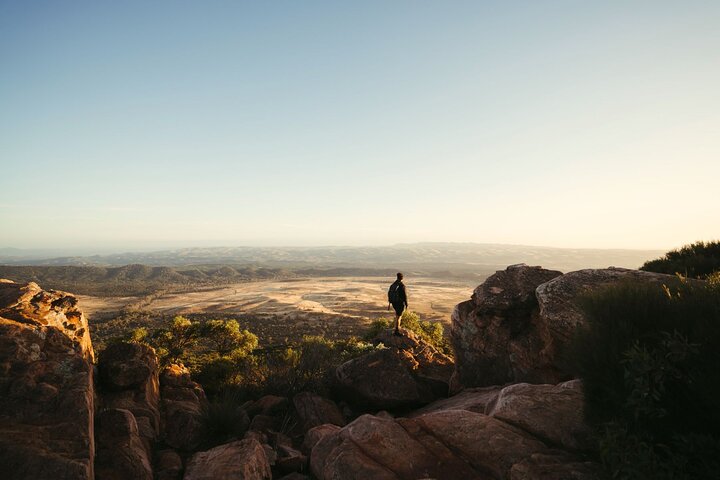 8 Day Adelaide to Uluru Adventure and Cultural Tour