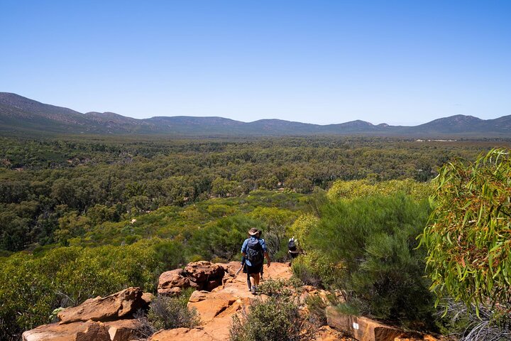 8 Day Uluru to Adelaide Cultural and Adventure Tour