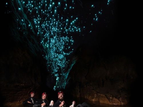 Scenic Rim Glow Worm Tour - Gold Coast Pickup